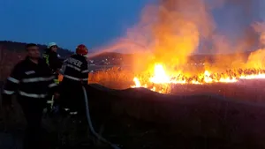 Incendiu puternic de vegetaţie uscată în apropierea unei catedrale din Vâlcea | FOTO