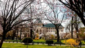 Avangarde Poll: Who leads the top of Bucharest residents' preferences for the Capital City Hall