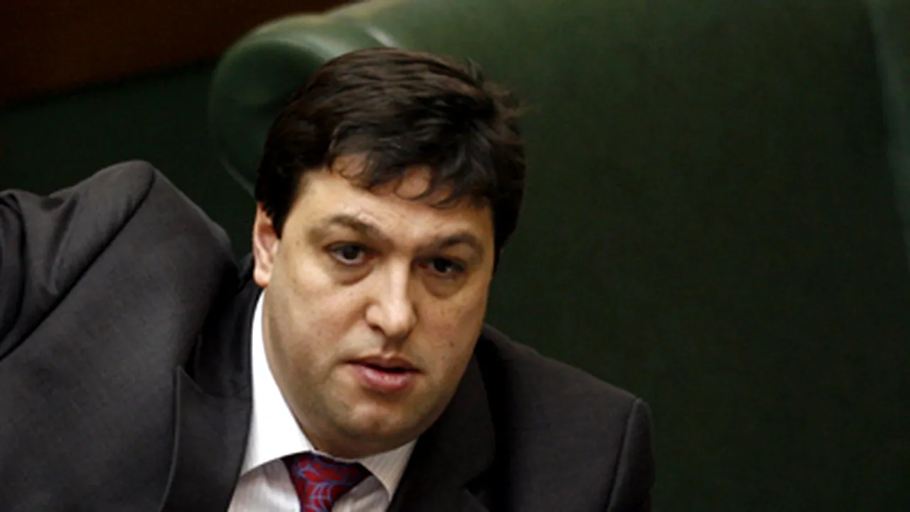 Şerban Nicolae, agresat verbal în Senat de un invitat al senatorului Eckstein Kovacs
