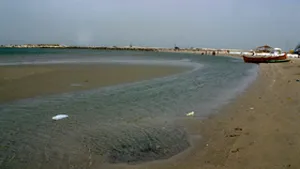 Marea Neagră s-a retras de la ţărm cu până la 20 de metri din cauza vântului puternic