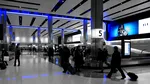 Alertă pe un aeroport internațional. Specie invazivă ce poate provoca un dezastru economic, descoperită în bagajul unui pasager