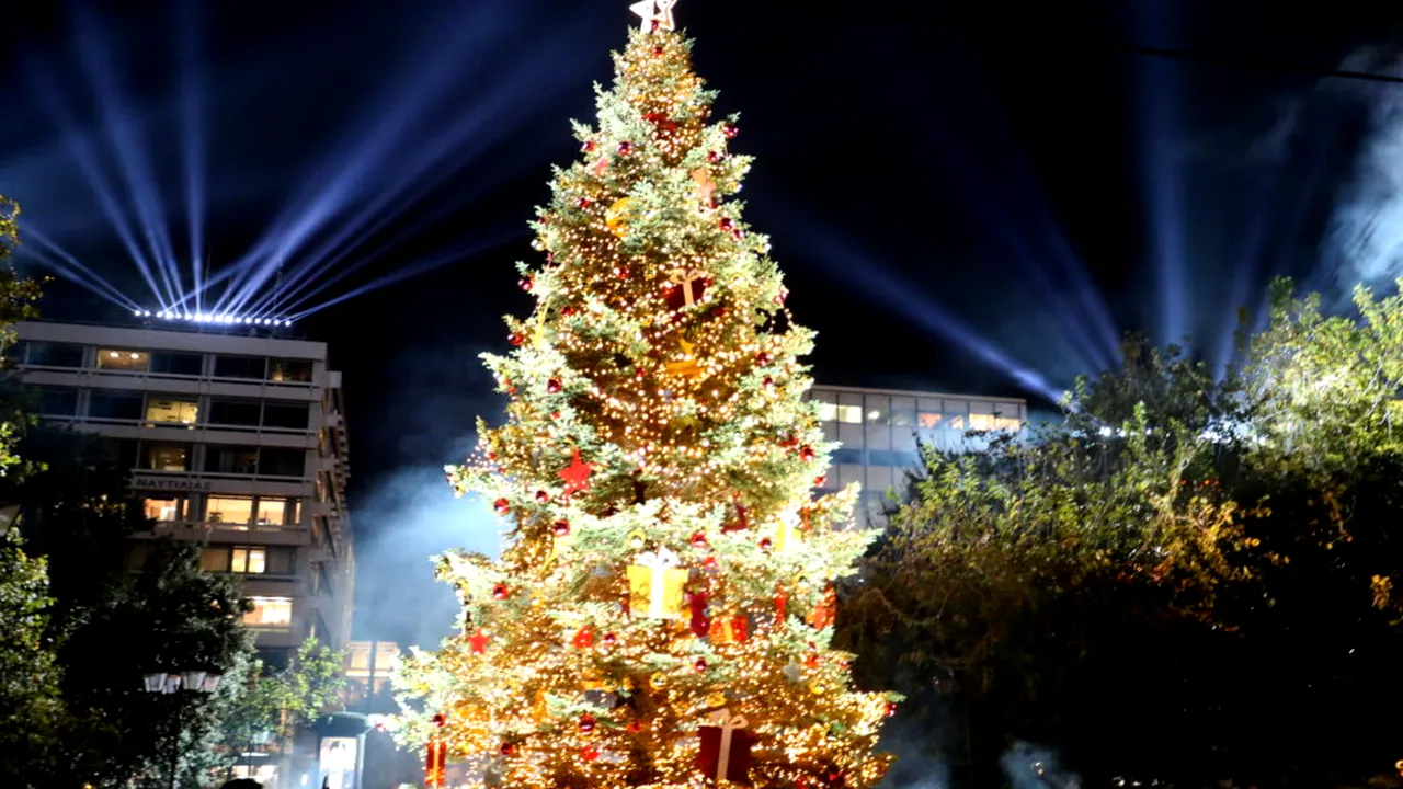 Recoltarea brazilor de Crăciun și decorarea acestora au început în Germania: „Lucrurile devin puțin agitate”