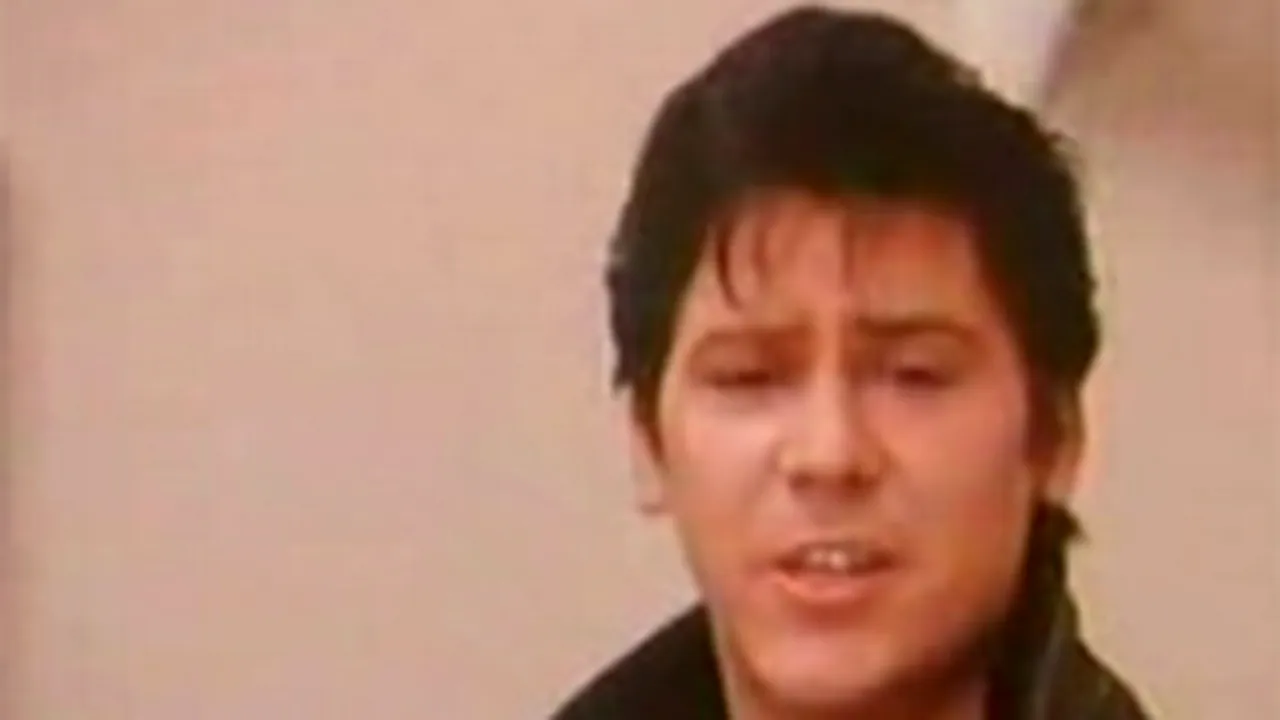 Shakin' Stevens va mânca, în România, sarmale, caltaboşi şi cozonac