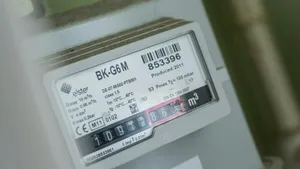 Ministrul Muncii: Tichetele de energie vor fi acordate până la sfârșitul anului 2026