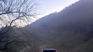 Misiune pentru salvarea unei femei la Borșa. Ea este victima unui incendiu de vegetație