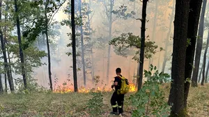 Incendiu uriaş într-o pădure din Mehedinţi. Un elicopter Black Hawk va ajunge în zonă