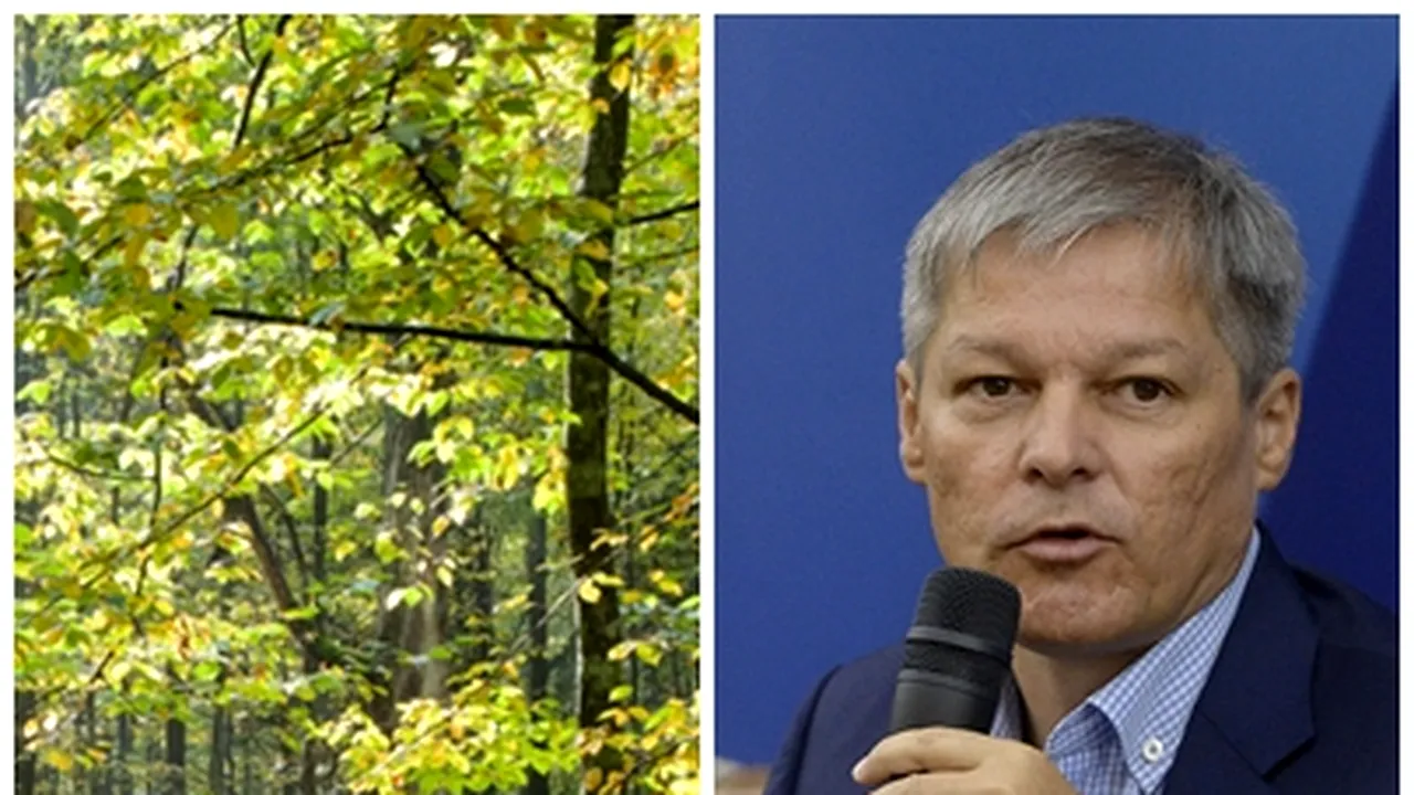 Premierul Dacian Cioloş despre tăierile ilegale de masă lemnoasă: 55.000 de controale, 1.000 de dosare penale şi 60.000 de amenzi
