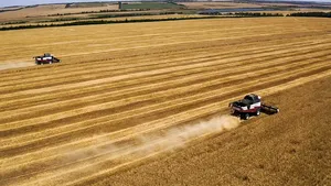 Ziarul Financiar: Numeroase firme care cultivă grâu, porumb şi floarea-soarelui în România au capital străin