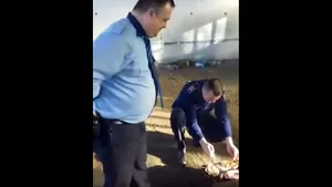 IMAGINILE ZILEI Poliţisti anchetaţi pentru că au făcut grătar în timpul serviciului
