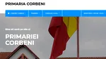 LICITAȚIE INCHIRIERE PĂȘUNI