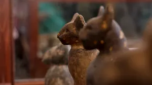 Descoperire rară făcută de cercetători în Egipt, sub necropola Saqqara. FOTO