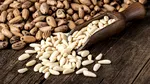 Semințele de pin, noul lux din supermarketurile italiene. Un tânăr le-a ascuns sub haine și a fost prins la ieșire
