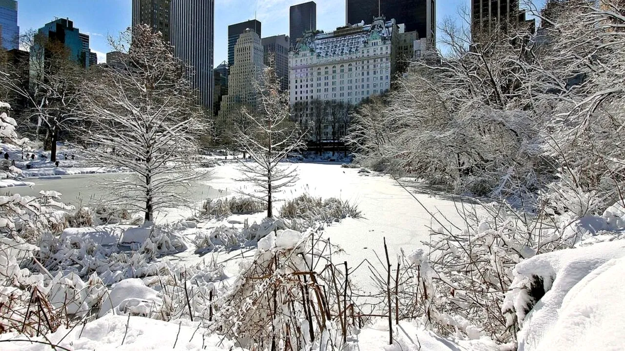 Iarnă grea. Cel puțin nouă persoane au murit în SUA