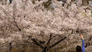 METEO ANM, vremea până pe 23 martie: cald în toată țara, precipitații după jumătatea lunii