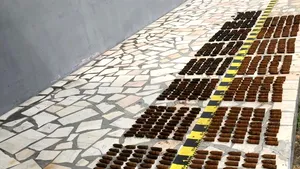 Muniţie antiaeriană, găsită de angajaţii unei primării din Gorj, care făceau curat pe malul unui râu | FOTO