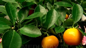 Lot de grapefruit din Turcia, retras din cauza depăşirii valorilor admise de reziduuri de pesticide