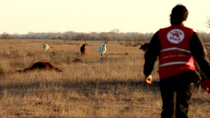 Ministrul Apelor i-a cerut soluţii şefului Romsilva pentru lipsa toaletelor din Pădurea Letea 