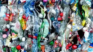 Oamenii de ştiinţă au creat o enzimă care reciclează plasticul în câteva ore