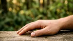 Avertisment: Țânțarii sunt activi și toamna. 83 de cazuri de West Nile în România și 5 decese