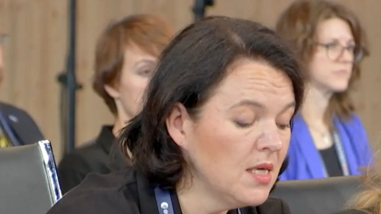 Ministra finlandeză a Economiei: Vom trimite primul lot de echipamente energetice în Ucraina