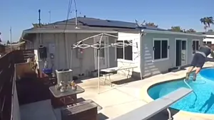 California. Valul de căldură a ajuns atât de puternic încât un curier a sărit în piscina unui client