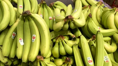 INEDIT O banană de milioane de dolari a fost furată dintr-un muzeu din Franța. Povestea celebrei opere de artă