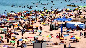 Cine a fost tras la răspundere pentru „sârba” încinsă în mijlocul drumului, la Eforie Nord