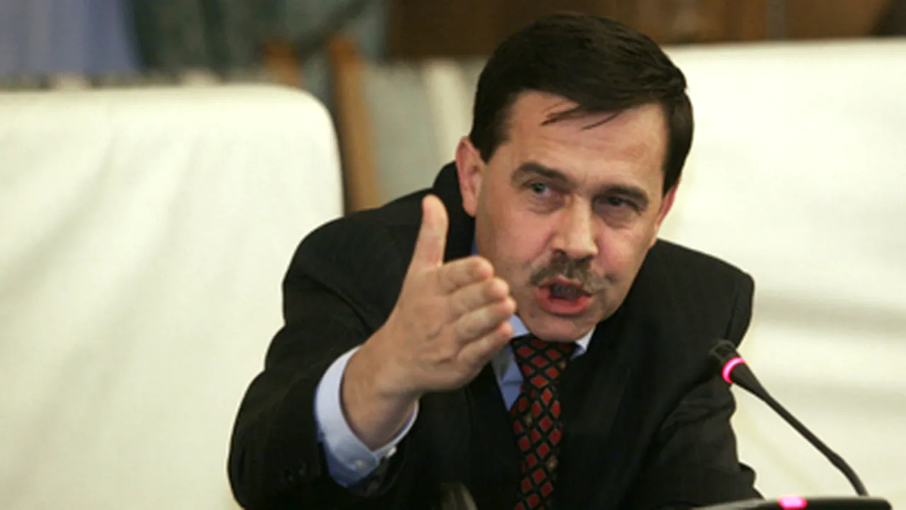 Pogea: Numărul firmelor radiate nu are legătură cu impozitul minim