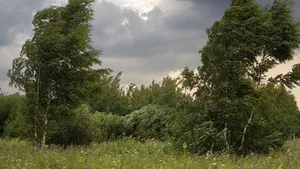 Avertizare de călătorie pentru Croaţia: Cod roşu de vânt. Disfuncţionalităţi în transportul maritim