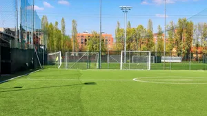 Proiect: Acces liber pe terenurile de sport din şcoli pentru adulţi şi copii