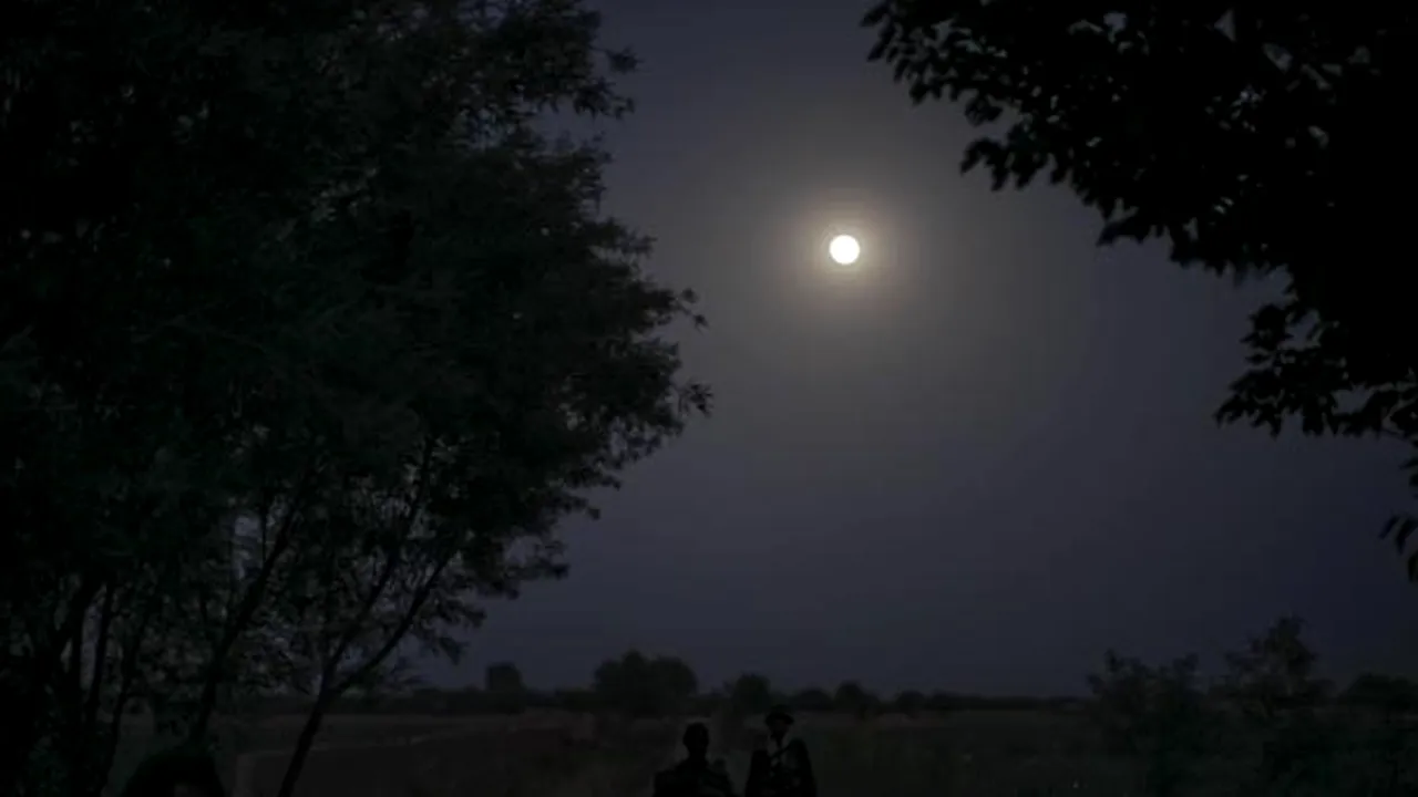Atacuri ca ale vampirilor în Noua Zeelandă