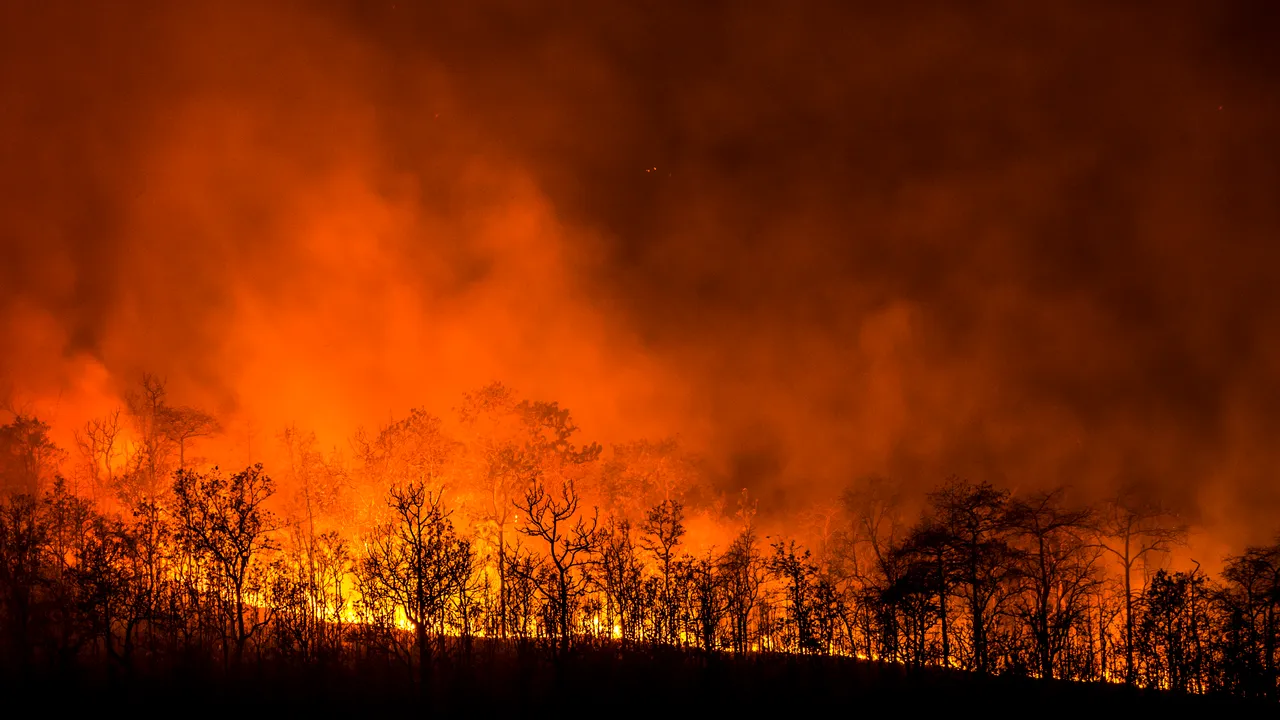 Un mort şi mii de oameni evacuaţi în urma unui incendiu de pădure în Coreea de Sud | VIDEO