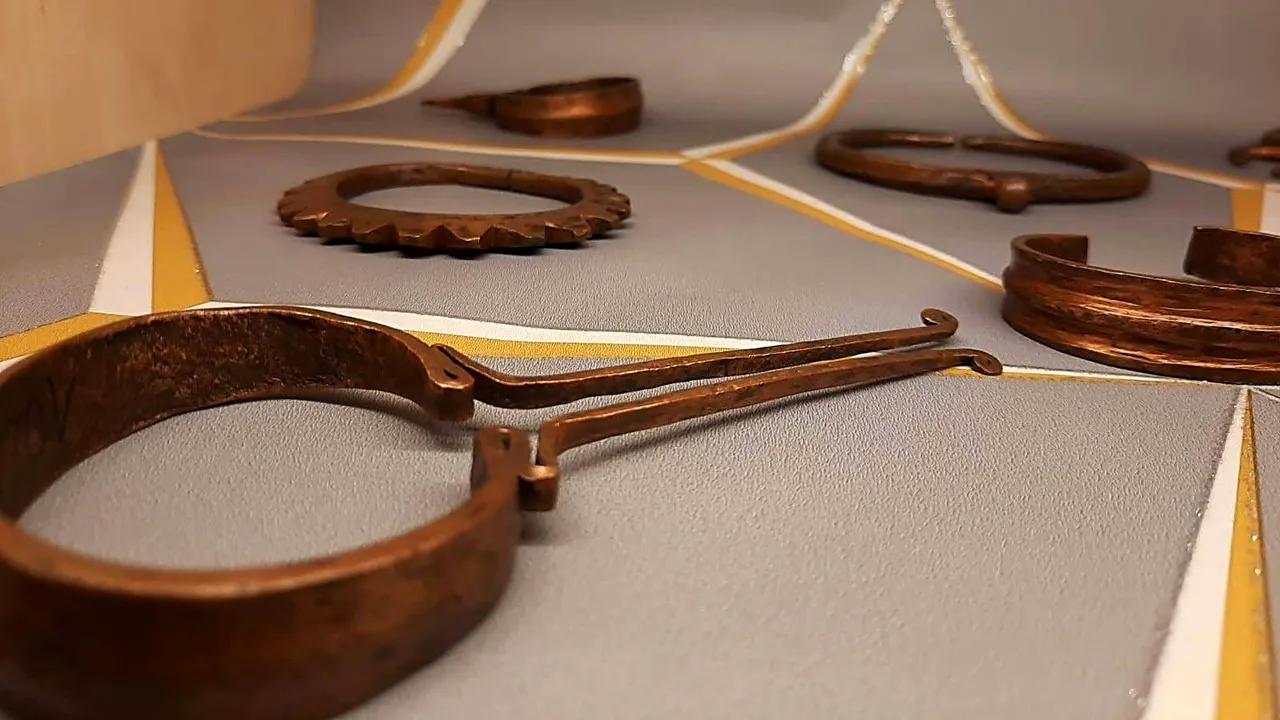Inedit: Podoabe din vertebre de şarpe şi fâşii din piele de hipopotam la Muzeul Astra din Sibiu