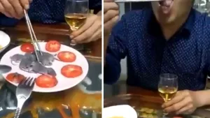 Noi imagini cu asiatici mâncând animale vii. În ce constă „Trei chiţăituri”, delicatesa ce poate fi găsită doar în anumite restaurante - VIDEO