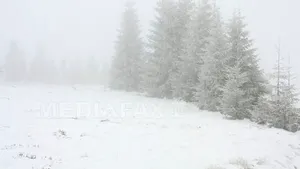 Noi IMAGINI cu epava avionului care a aterizat forţat în Munţii Apuseni - FOTO