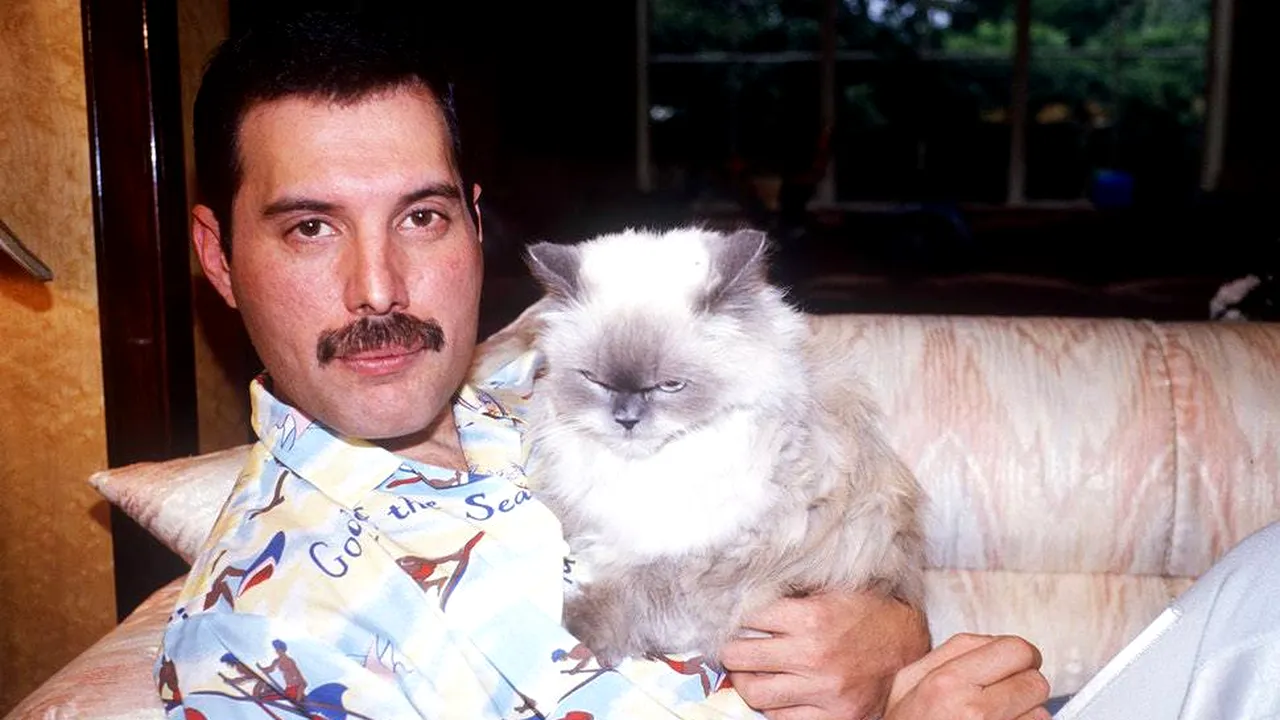 Lansarea filmului Bohemian Rhapsody. Freddie Mercury: 10 lucruri mai puţin ştiute despre fostul mare solist al trupei Queen