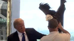 Donald Trump, speriat de un vultur în timpul unei şedinţe foto - VIDEO