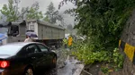 Trafic blocat parțial pe DN1 la Sinaia din cauza copacilor doborâți de vânt