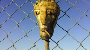 Capete de porc, de-a lungul frontierei cu Ungaria: propunere controversată a unui eurodeputat pentru descurajarea venirii imigranţilor musulmani 