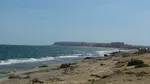 Ai voie cu câinele pe plajele din Spania? Ce trebuie să știi și ce să nu faci