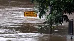 Orașele trebuie să arate că sunt pregătite pentru șocurile climatice pentru a-și menține atractivitatea