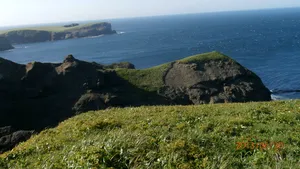 Japonia condamnă ferm exerciţiile militare derulate de Rusia în apropiere de disputatele Insule Kurile