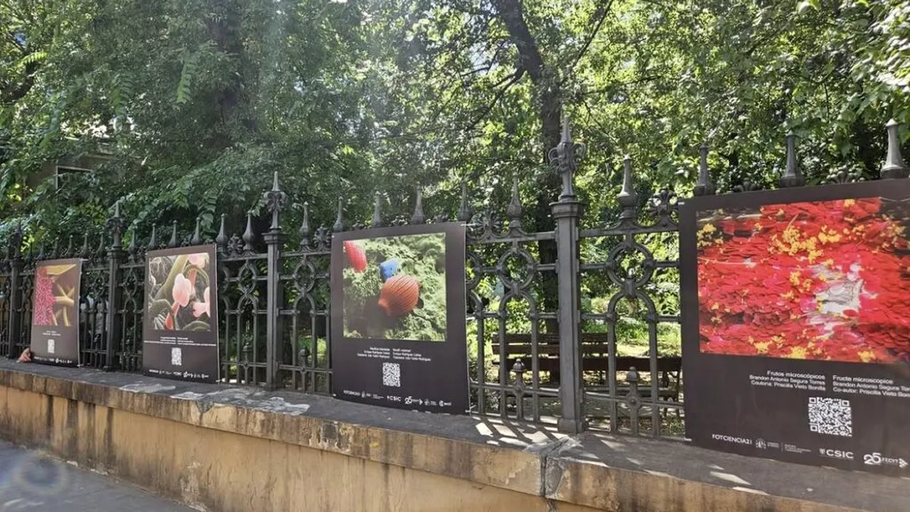 Ambasada Spaniei aduce la București FOTCIENCIA21. 15 fotografii care arată știința prin artă