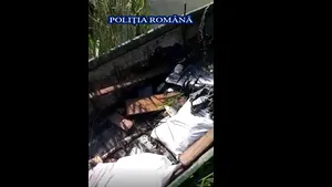 Peste 650 de kilograme de peşte fără documente legale, confiscate în Deltă