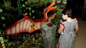Expoziţie de dinozauri la Buzău: 16 machete de diverse mărimi şi filmuleţe tematice - FOTO