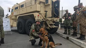 De Ziua NATO, ciobănescul Dino va primi o porţie în plus de super-premium şi mingea preferată 