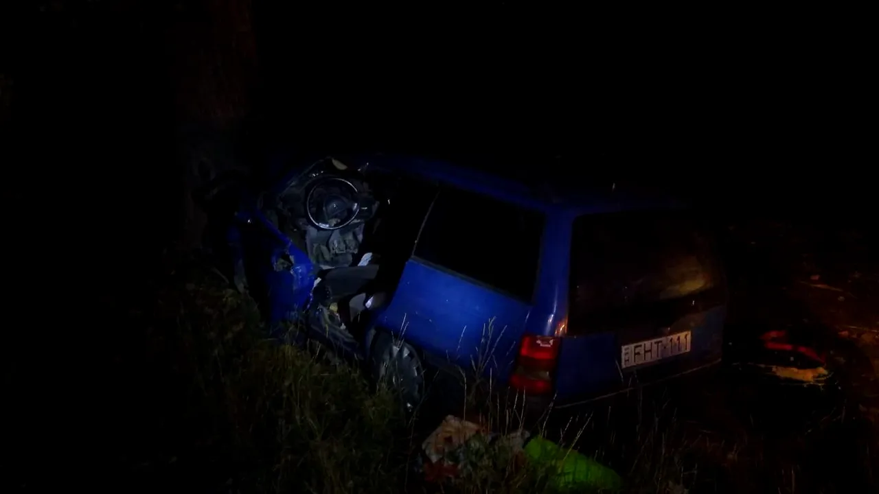 Şase răniţi, dintre care trei copii şi o femeie gravidă, după ce o maşină a intrat într-un pom, în Arad