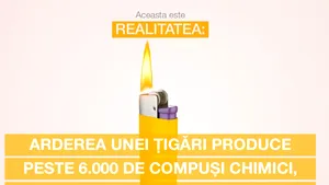 Fumatul – arderea tutunului este principala problemă