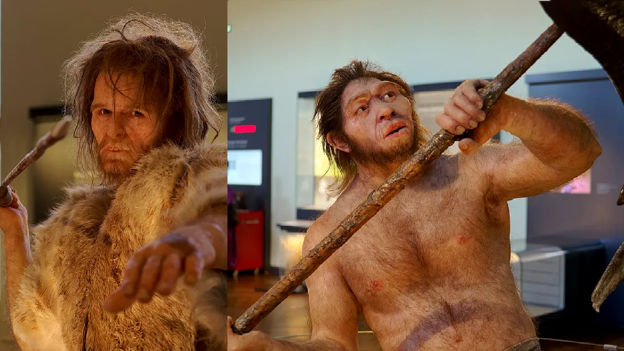 Studiu - Neanderthalienii încălzeau legumele şi le condimentau acum 70.000 ani 