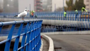 Harta autostrăzii care va tăia Bucureştiul